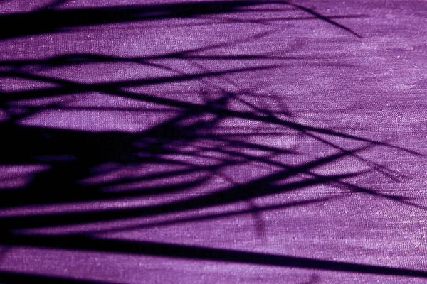 Light and shadow from palm leaves on purple canvas background.
