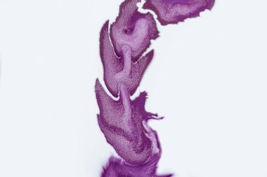 Soyut pembe renkli ve beyaz arka plan üzerinde mor akrilik boyalar. Mikroskop ile makro dünya görüşü.