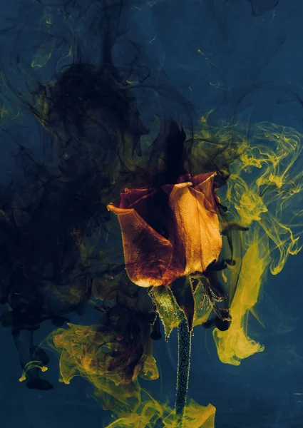 Yellow rose inside the water on the blue background whith yellow and black acrylic paints. Watercolor style and abstract spring image of flower.