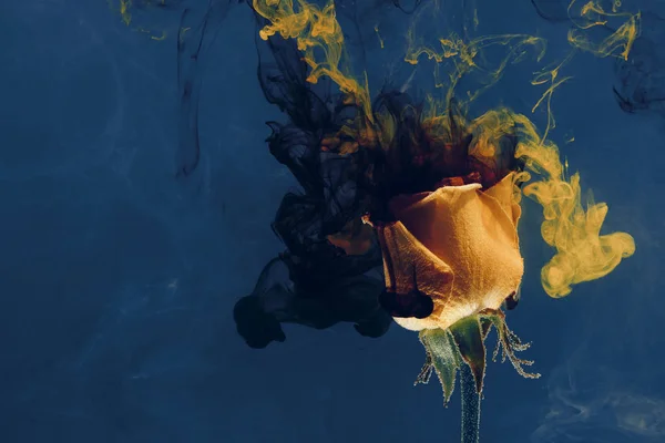 Yellow rose inside the water on the blue background whith yellow and black acrylic paints. Watercolor style and abstract spring image of flower.