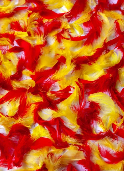 Красочный Фон Мягких Пушистых Птичьих Перьев Текстура Красных Желтых Розовых — стоковое фото