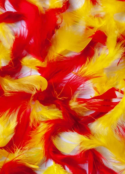 Colorful background of soft fluffy bird feathers. Texture of red, yellow and pink feathers.