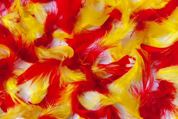 Colorful background of soft fluffy bird feathers. Texture of red, yellow and pink feathers.