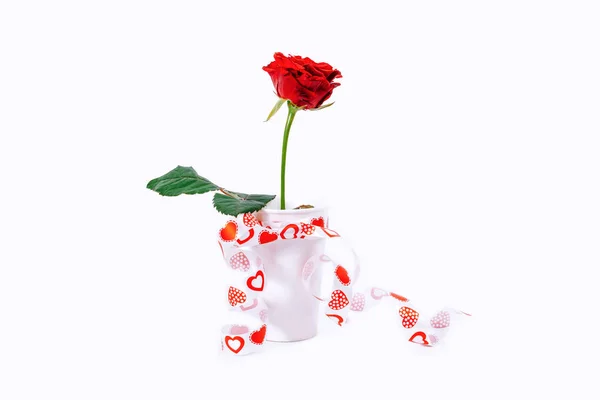 Dar Biały Kubek Białym Tle Czerwonych Róż Wstążki Serca Koncepcja — Zdjęcie stockowe