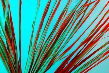 Tropikal dal kuru pembe yeşil kırmızı yaprakları arka plan soyut palmiye ot ot ot