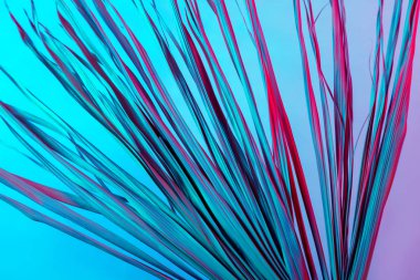 Tropikal dal kuru pembe mavi mor kırmızı yaprakları arka plan mercan soyut palmiye ot ot çimenli plastik ultraviyole