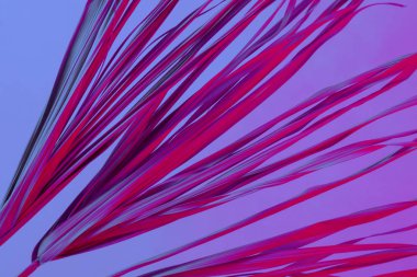 Tropikal dal kuru pembe mavi mor kırmızı yaprakları arka plan mercan soyut palmiye ot ot çimenli plastik ultraviyole