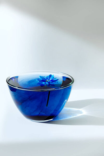 blue shadow water flower glass bright ray sun light acrylic paint astra calendula white black