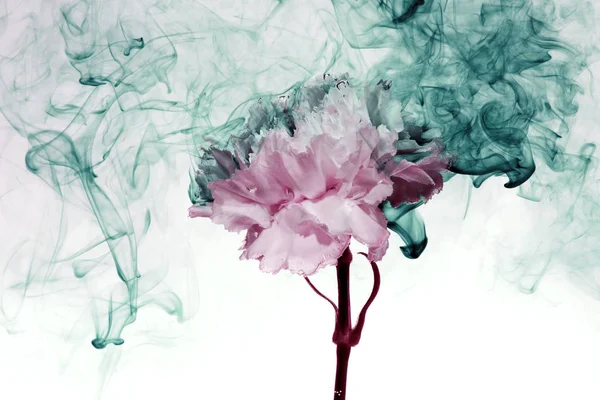 Su beyaz arka plan çiçekler altındaki boyalar Indigo duman Buhar içinde mavi pembe yeşil bulanıklık