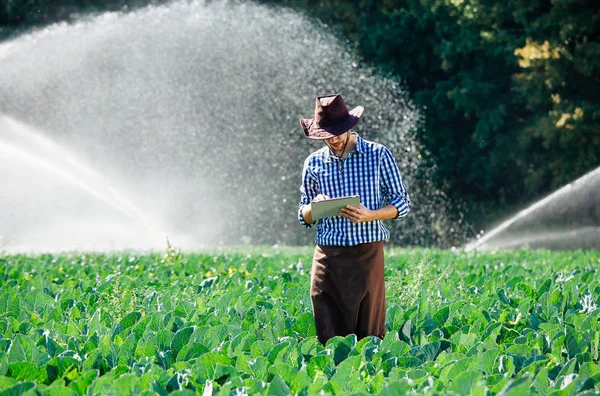 Cyfrowy kapelusz komputer mężczyzna plantacji robotnik rolnik system tryskacz słońce woda — Zdjęcie stockowe