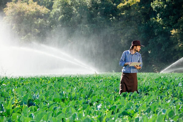 Cyfrowy kapelusz komputer mężczyzna plantacji robotnik rolnik system tryskacz słońce woda — Zdjęcie stockowe