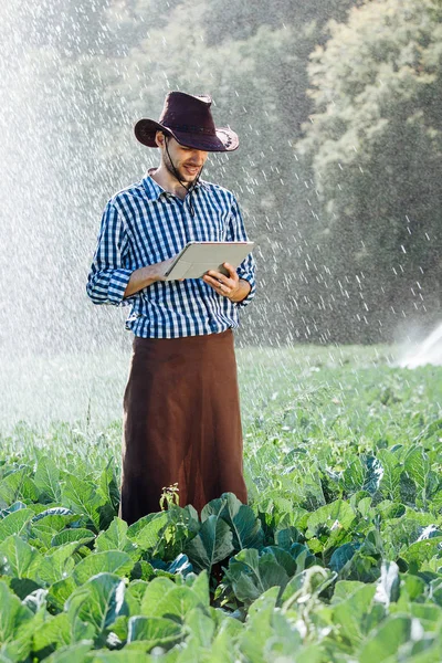 Farmář agronomista sluneční pracovník kontrola digitální tabletový počítač Plantation technika klobouk postřikovací systém voda — Stock fotografie
