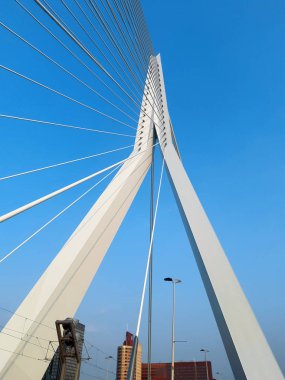 Erasmus Köprüsü gün gökyüzü mavi beyaz güneş Rotterdam Hollanda