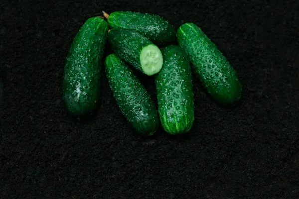 Vegetable cucumbers ground black background ripe mature green greens several — Stock Photo, Image