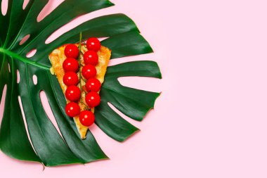 parça pizza dilim pembe arka plan sarı yeşil sebze sebze yeşildomates monstera tropic