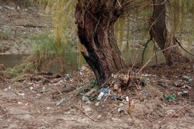 çöp plastik nehir Ukrayna doğa şişe kir su çöp atık