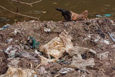 çöp plastik nehir Ukrayna doğa şişe kir su çöp atık