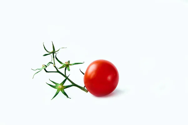Olgun kırmızı domates beyaz arka plan yeşil dal dal kuru bir izole yıldız çiçek — Stok fotoğraf