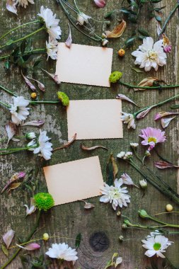 ahşap arka plan beyaz dizüstü eski sayfa pembe ped yaprak yeşil çiçekler ülke