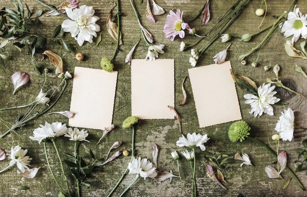 Foglia verde rosa fiori bianco vecchio legno fondo vista dall'alto campagna lato notebook fogli pad — Foto Stock