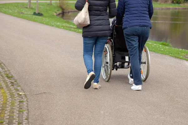 caring daughter wheelchair walking green nature nurse walk stroller old person retired