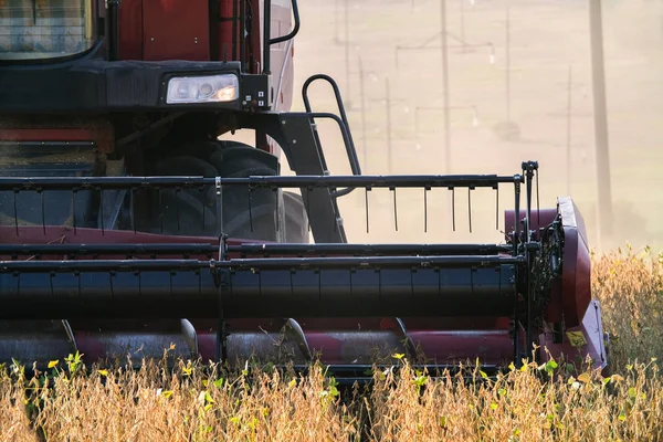 Pemanen menggabungkan musim gugur biji-bijian petani tanaman pertanian teknologi perkebunan hijau — Stok Foto