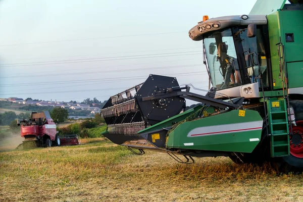 Комбайн комбайн пшеницы осенью пшеничного работника технологии плантации зеленого поля — стоковое фото