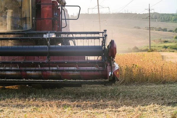 Комбайн комбайн пшеницы осенью пшеничного работника технологии плантации зеленого поля — стоковое фото