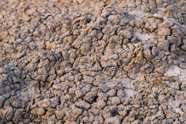 kuru arazi çatlaklar gri gri gri tonlama toprak zemin kurutulmuş çatlama arka plan peyzaj arazi engebeli yüzey