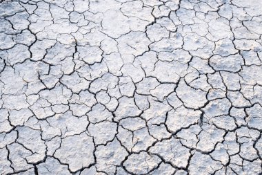 kuru arazi çatlaklar gri gri gri tonlama toprak zemin kurutulmuş çatlama arka plan peyzaj arazi engebeli yüzey