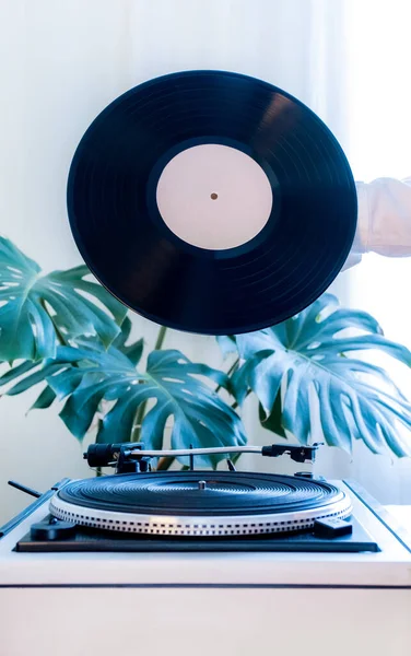 Vintage record player and hand holding black vinyl record on the green tropical leaves background. Old school style.