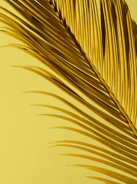 Крупный План Тропическая Пальмовая Ветвь Желтом Золотом Неоновых Цветов Тренд — стоковое фото