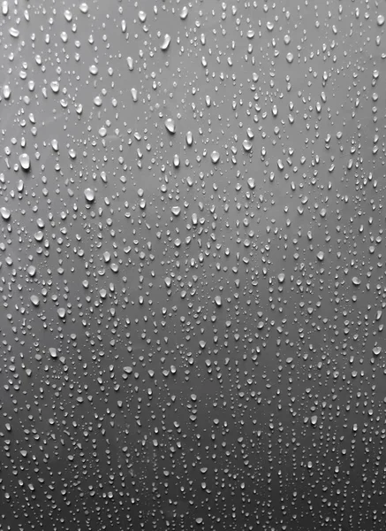 Water Rain Drops White Black Background — Stock Photo, Image