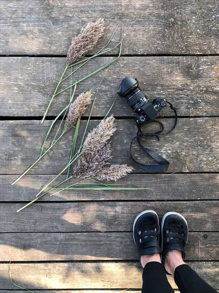 Kurumuş Dalları Bacakları Siyah Fotoğraf Makinesiyle Gri Eski Ahşap Arkaplan — Stok fotoğraf