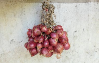 Birkaç arpacık soğanını kapat (Allium ascalonicum L.), Tayland kırmızı soğanı Tayland mutfağının kırsal kesimlerinde eski bir taş duvara asılmak için. Tayland baharatlı, sağlıklı gıda malzemeleri kavramı.