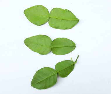 çiğ kaffir yeşil yaprak, bergamot, sülük limonu, Mauritius papeda (citrus x hystrix l.) beyaz bir sırt üstü bambu üzerinde bulunur.,