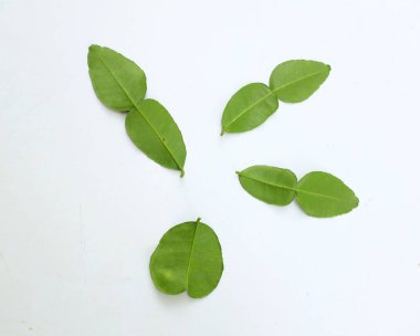 çiğ kaffir yeşil yaprak, bergamot, sülük limonu, Mauritius papeda (citrus x hystrix l.) beyaz bir sırt üstü bambu üzerinde bulunur.,