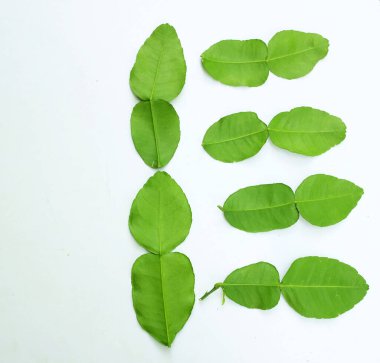 çiğ kaffir yeşil yaprak, bergamot, sülük limonu, Mauritius papeda (citrus x hystrix l.) beyaz bir sırt üstü bambu üzerinde bulunur.,