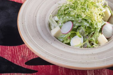 Çok lezzetli sebze salatası. Vitaminler, otlar, sağlıklı ve sağlıklı gıda.