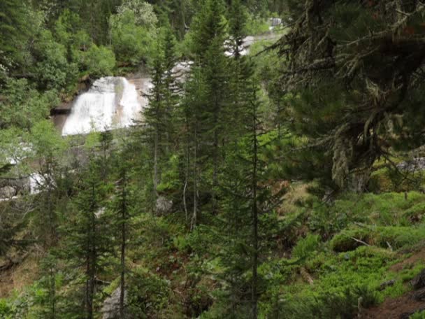 Чудовий Гірський Пейзаж Водоспадами Прекрасний Гірський Струмок Чарівні Гірські Квіти — стокове відео
