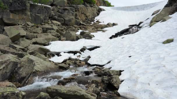 Mountain Vattenfall Mycket Vackert Landskap Med Berg Vattenfall Och Ren — Stockvideo