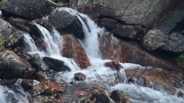 壮大な山の風景の滝 美しい渓流と魔法の山の花 — ストック動画