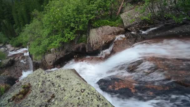 Storslagen Fjällmiljö Med Faller Vackra Fjällbäck Och Magic Mountain Blommor — Stockvideo