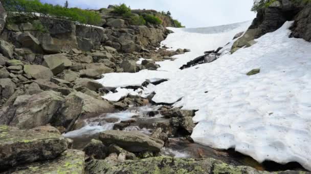 Storslagen Fjällmiljö Med Faller Vackra Fjällbäck Och Magic Mountain Blommor — Stockvideo