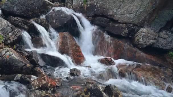 Storslagen Fjällmiljö Med Faller Vackra Fjällbäck Och Magic Mountain Blommor — Stockvideo