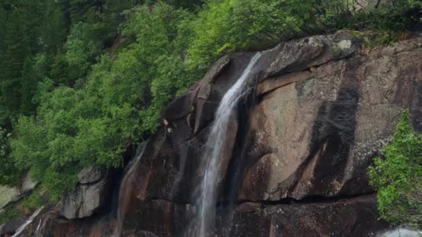 Magnífico Paisaje Montaña Con Caídas Hermoso Arroyo Montaña Flores Mágicas — Vídeos de Stock
