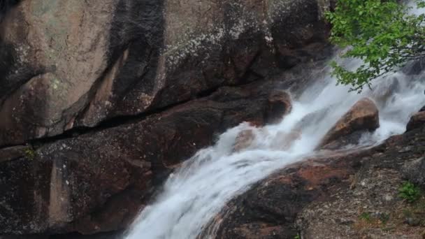 Storslagen Fjällmiljö Med Faller Vackra Fjällbäck Och Magic Mountain Blommor — Stockvideo