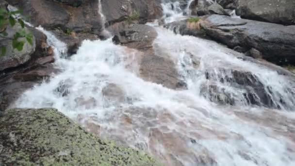 Storslagen Fjällmiljö Med Faller Vackra Fjällbäck Och Magic Mountain Blommor — Stockvideo