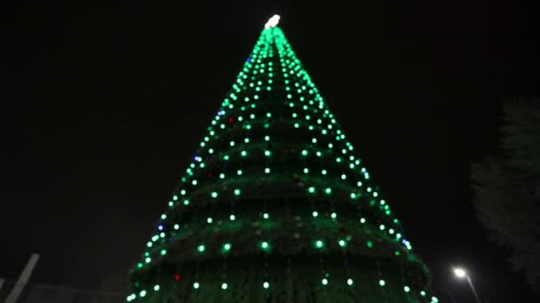 Φόντο Όμορφο Νέο Έτος Χριστουγεννιάτικο Δέντρο Όμορφη Διακόσμηση Χριστουγεννιάτικα Φώτα — Αρχείο Βίντεο