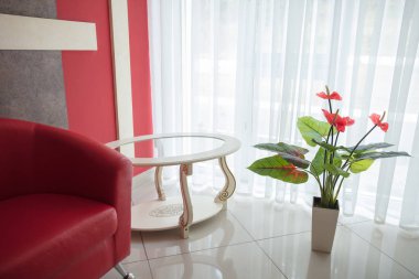 Modern iç mekan tasarımları oturma odası. Çok güzel ve zengin iç oturma odası ve 